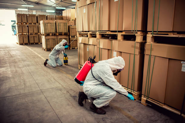 Best Emergency Pest Control  in Grand Island, NE