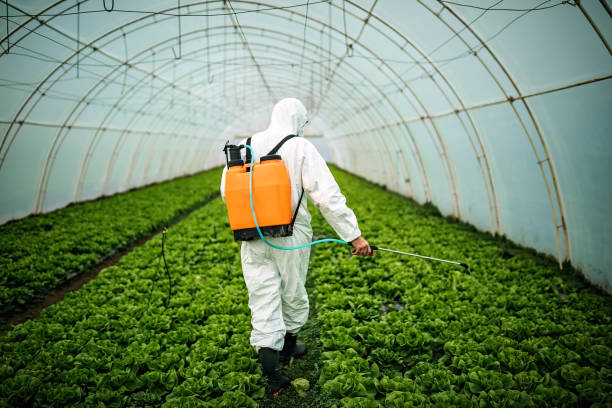 Best Best Pest Control Companies  in Grand Island, NE