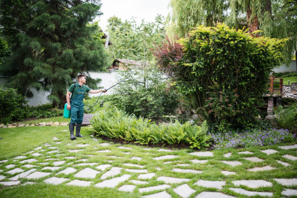 Best Mosquito Control Services  in Grand Island, NE
