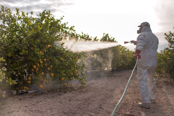 Best Pest Prevention Services  in Grand Island, NE