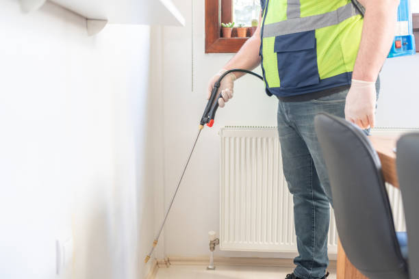 Best Affordable Pest Control Services  in Grand Island, NE