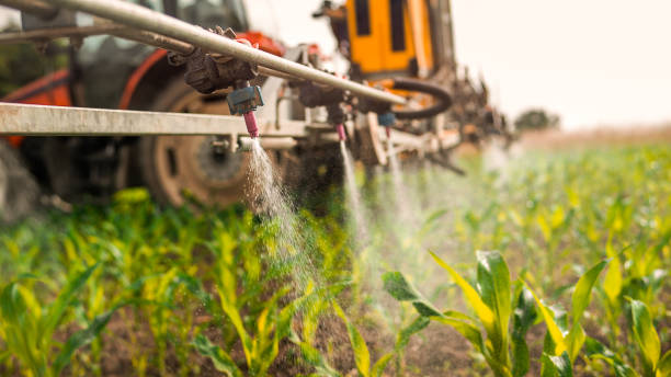 Best Ant Control Services  in Grand Island, NE